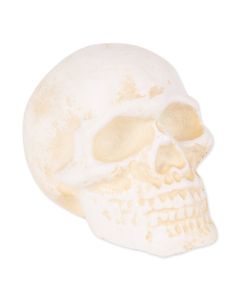HUMAN SKULL CAST IRON PAPERWEIGHT